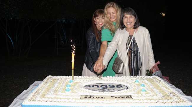 angsa 25 