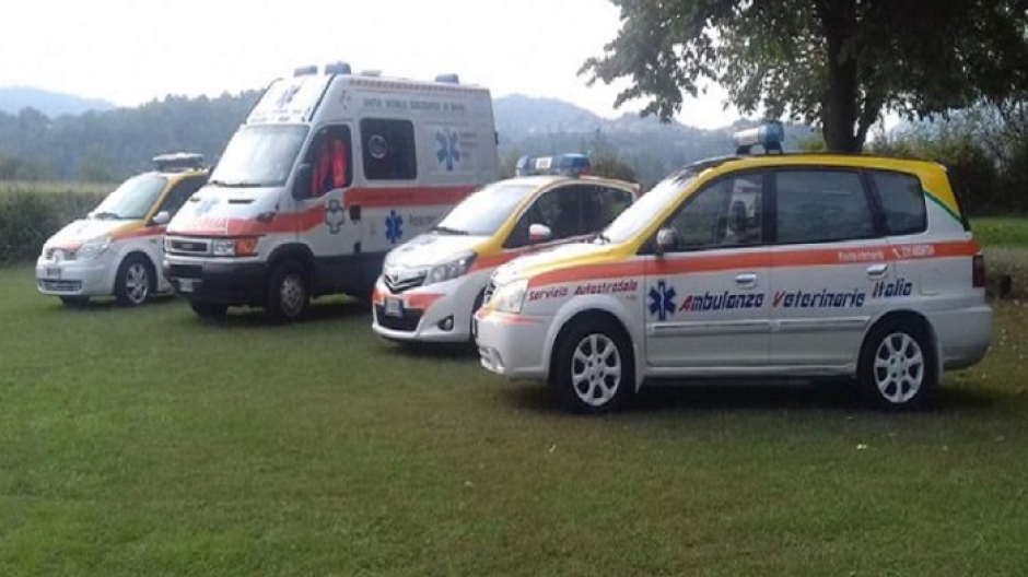 A Borgosesia un anno con il servizio Ambulanze veterinarie