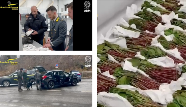 Schermata 2025 02 03 alle 10.23.06