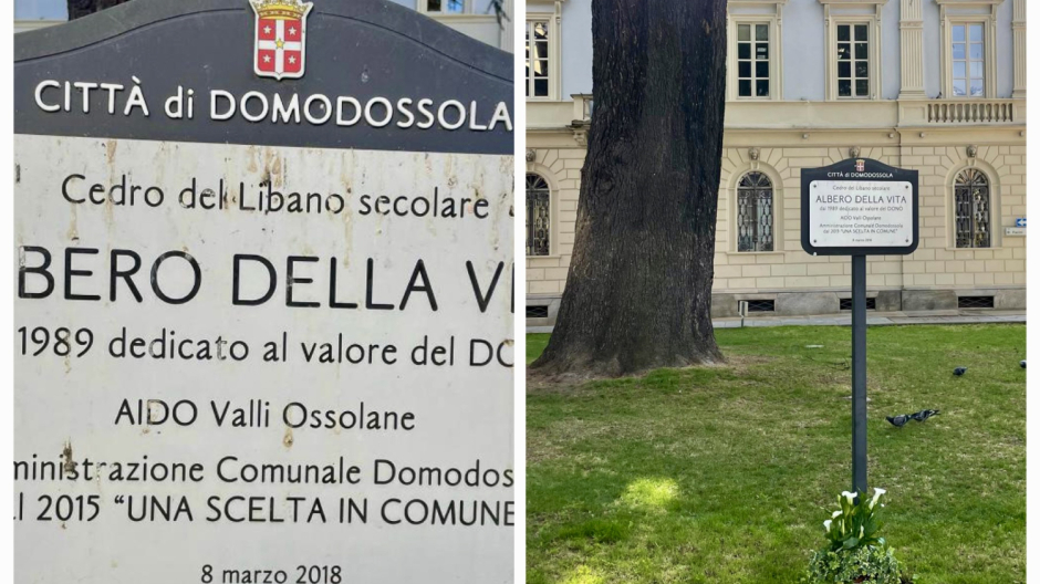 Giornata Nazionale per la Donazione Organi: omaggio floreale per sensibilizzare