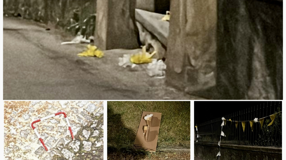 Sdegno e rabbia a Varzo per i vandalismi nelle vie del paese e una rissa