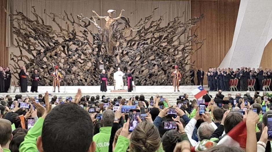 Volontari di Protezione Civile del Piemonte all'udienza di fine Giubileo con il Papa