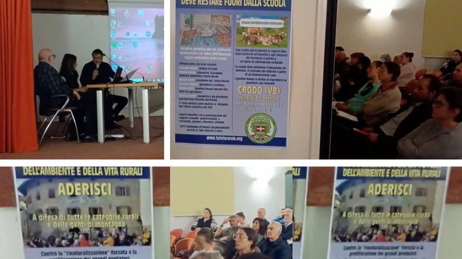 Crodo, serata sul caso “Diario Amico”: gli allevatori chiedono dialogo e rispetto