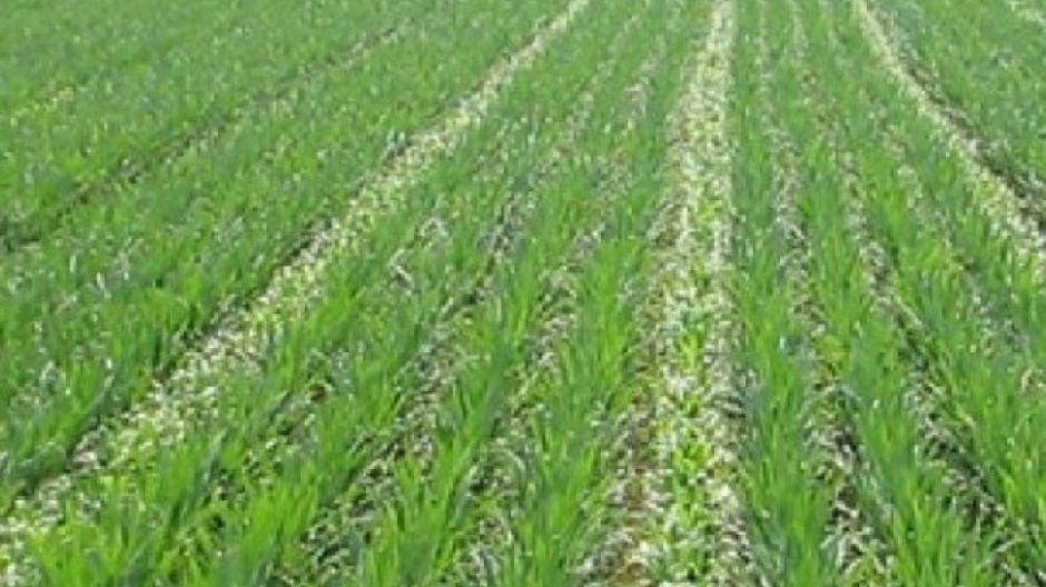 Coldiretti Biella-Vercelli promuove il progetto 