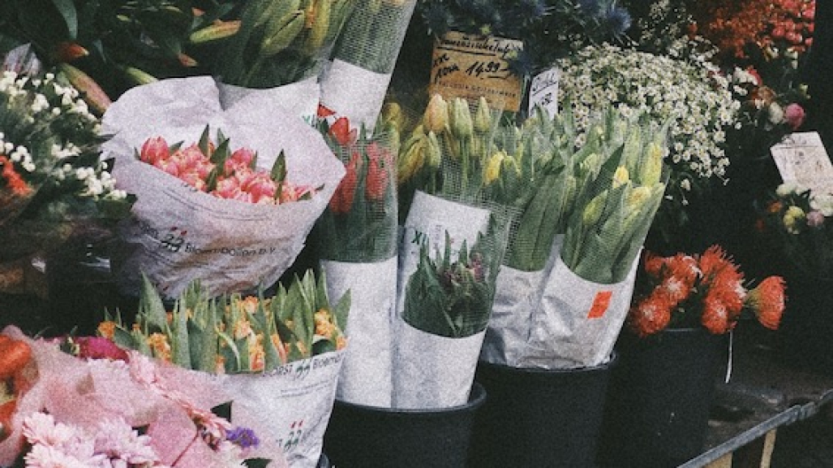 Galliate, aperte le iscrizioni per la 