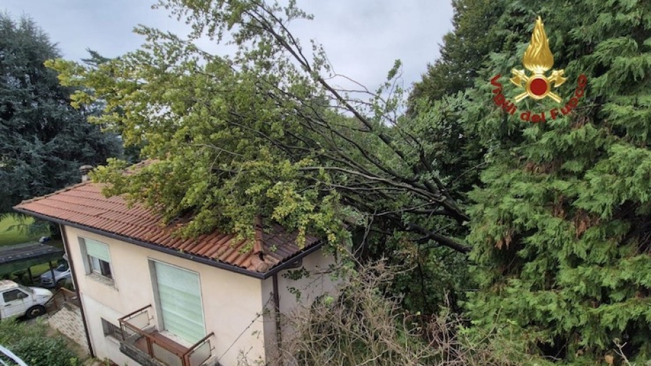 Castelletto Ticino, albero cade sopra abitazione: intervento dei vigili dei fuoco