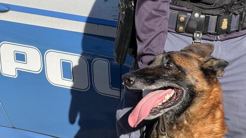 Controlli straordinari tra Verbania e Omegna: 364 persone identificate