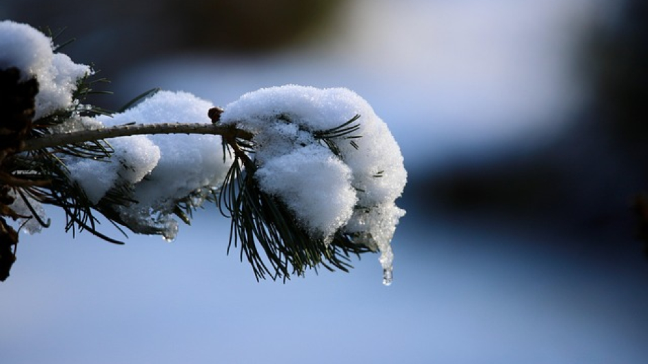 Inverno mite e molto piovoso in Piemonte: il settimo più caldo degli ultimi 70 anni