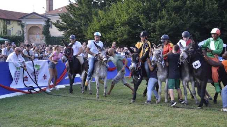 Festa dell'Uva: sabato la consegna delle chiavi, domenica il palio degli asini