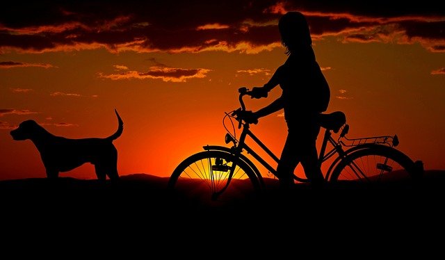 bici donna